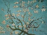 Van Gogh Art Reproductions and Oil Paintings: Branches of an Almond Tree in Blossom Oil Painting Can