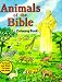 Animals of the Bible Coloring Book (10 book set)