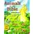 Animals of the Bible Coloring Book (10 book set)