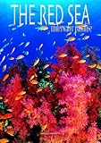 Red Sea and Complete Coral Reef Guide