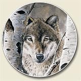 Wolf Auto Coaster, Single Coaster for Your Car