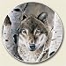 Wolf Auto Coaster, Single Coaster for Your Car
