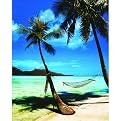 Hammock Poster - 16x20"