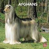 Afghans 2012 Square 12X12 Wall Calendar