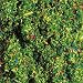 Faller 170714 - Streumaterial Blumenwiese 120 g