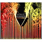 Flashmobpar Vitalic