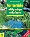 Gartenteich.