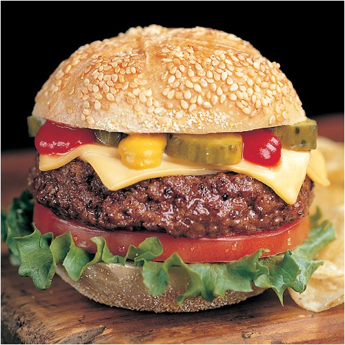 Omaha Steaks 16 (4 oz) Gourmet Burgers by Omaha Steaks