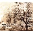 Duluth by Trampled By Turtles