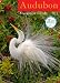 AUDUBON ENGAGEMENT CALENDAR 2013 (Engagement Diary)