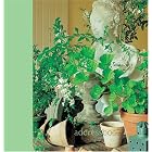 Comfortable Country: Address Book by  Enrica Stabile and Christopher Drake