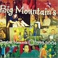 Best of Big Mountain by 