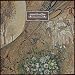 mewithoutyou