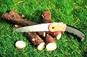 Pruning Saw