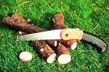 Pruning Saw