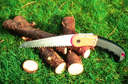 Pruning Saw