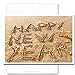 Starfish: New Year Holiday Cards - box of 10 cards & envelopes
