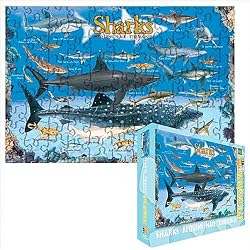 Sharks Jigsaw Puzzle - 100 pieces