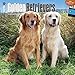 Golden Retrievers 2015 Wall Calendar