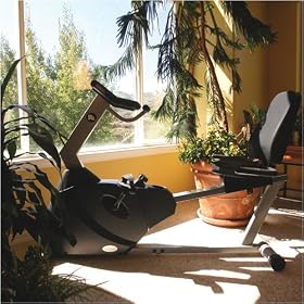 LifeSpan 350 Recumbent Exercise Bike R2