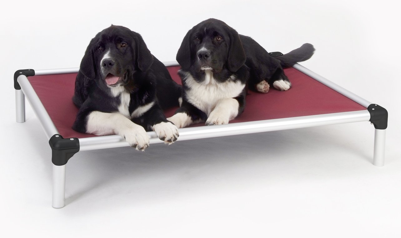 Orthopedic Dog Beds For Great Danes