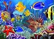Do Fish Ever Sleep? (35 Piece Tray Puzzle) Do Fish Ever Sleep? (35 Piece Tray Puzzle)