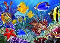 Do Fish Ever Sleep? (35 Piece Tray Puzzle)