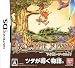 アイビィ・ザ・キウィ?