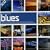 Beginner's Guide to the Blues