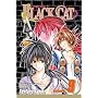 Black Cat, Vol. 19 (Black Cat (Graphic Novels))