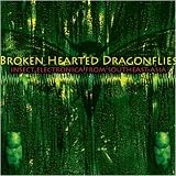 Various Artists - Brokenhearted Dragonflies: Insect Electronica ...