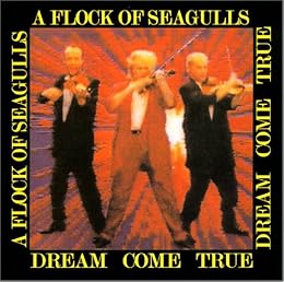 A Flock Of Seagulls Foto 8