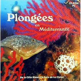 Plong�es en m�diterran�e