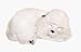 Perfect Pets Toy Poodle Puppy