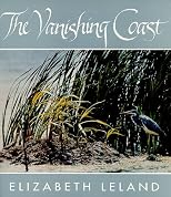 The Vanishing Coast