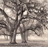 Search : Two-Hearted Oak: The Photography of Roman Loranc