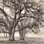 Two-Hearted Oak: The Photography of Roman Loranc
