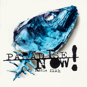 Paradise Now - Tiny Little Fish - Zortam Music
