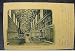 Architectural Postcard Sistine Chapel