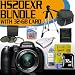 Fujifilm FinePix HS20 16 MP Digital Camera with EXR BSI CMOS High Speed Sensor and Fujinon 30x Wide Angle Optical Zoom Lens Accessory Saver 32GB NiMH Battery/Rapid Charger Bundle !!! (Black)