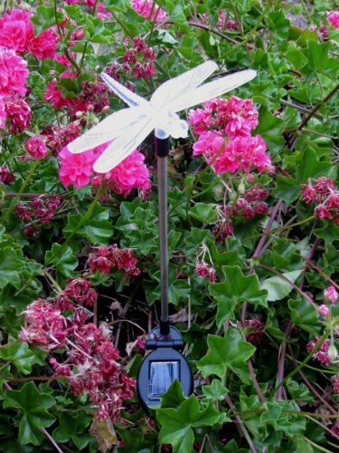 HOME-OUTDOOR GTMax Solar Dragonfly Color Charge Light E2175 (Set of 2) Garden, Lawn, Supply, Maintenance