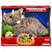 Playskool Kota and Pals Hatchling - Triceratops