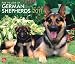 German Shepherds, For the Love of 2011 DLX