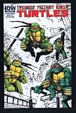 Teenage Mutant Ninja Turtles Comic Con 2011 Exclusive Ashcan Color IDW Publishing