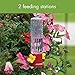 Audubon NA35248 Garden Stake Hummingbird Nectar Feeder