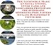 The Incredible Make An Extra Income, Inner Game and Godfather Principles for Automatic Swimming Pool Covers On-line Businesses 3 CD Course
