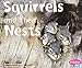 Squirrels and Their Nests (Pebble Plus, Animal Homes)