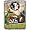 Florida State Seminoles