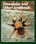 Tarantulas and Other Arachnids: Everything About Selection, Care, Nutrition, Health, Breeding, Behavior (Complete Pet Owner's Manual)
