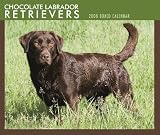 Labrador Retrievers, Chocolate 2008 Boxed: Day to Day